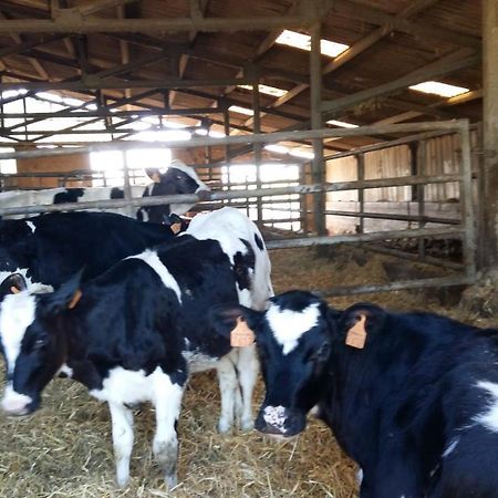 Charmante Maison A La Ferme Valderies Екстер'єр фото