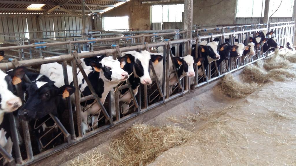 Charmante Maison A La Ferme Valderies Екстер'єр фото