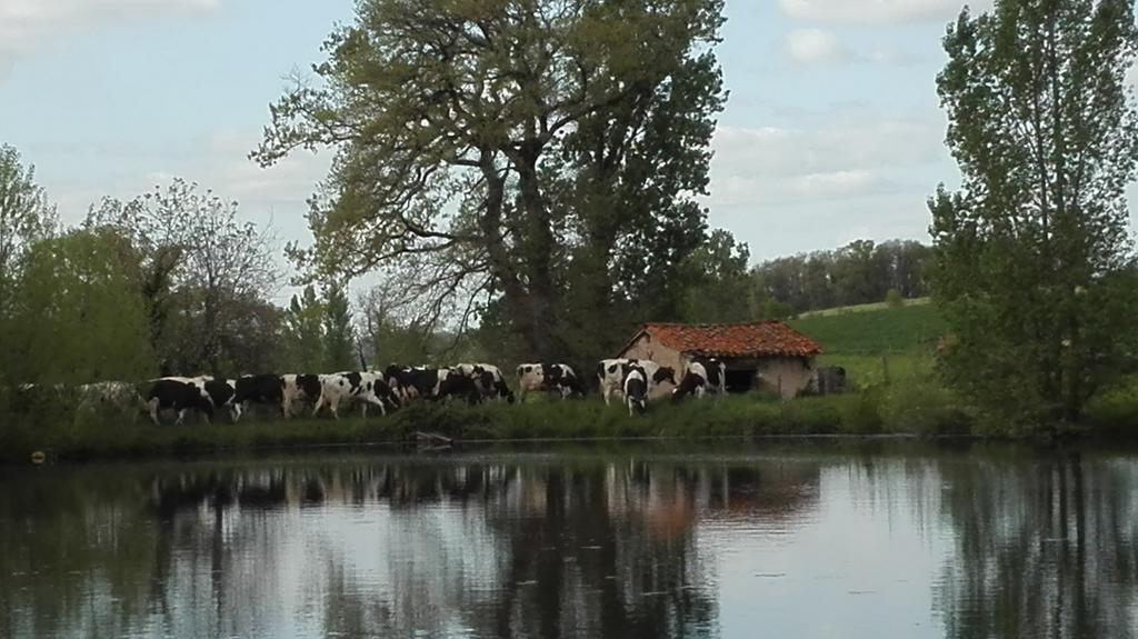 Charmante Maison A La Ferme Valderies Екстер'єр фото