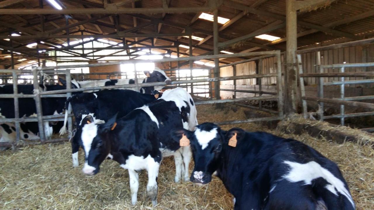 Charmante Maison A La Ferme Valderies Екстер'єр фото